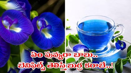 ఈ ఫ్లవర్ అంత పవర్ ఫుల్లా.. ఒక్క గ్లాస్ తాగితే..!