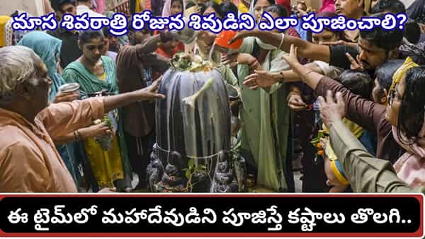 మాస శివరాత్రి.. ఈరోజు పూజకు అత్యంత శుభ సమయం ఇదే! సకల శుభాలు కలగాలంటే ఇలా చేయండి