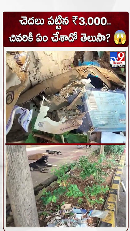 చెదలు పట్టిన ₹3,000.. చివరికి ఏం చేశాడో తెలుసా?