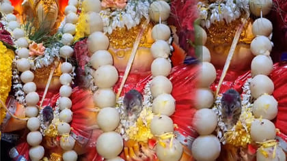 అద్భుతం.. వినాయకుడి ముందు ప్రత్యేక్షమైన ఎలుక.. ఏం చేసిందో తెలుసా?
