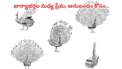 ఇంట్లో వెండి నెమలి పెడితే ఏం జరుగుతుందో తెలుసా..? అదృష్టం..