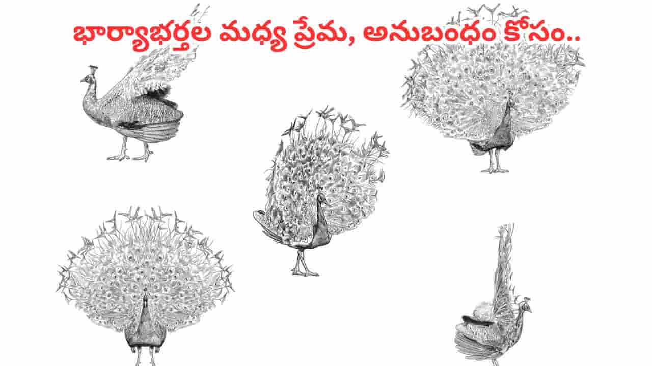 ఇంట్లో వెండి నెమలి పెట్టుకుంటే ఏం జరుగుతుందో తెలుసా? ఆర్థిక సమస్యలు తొలగి శుభం కలుగుతుందట!