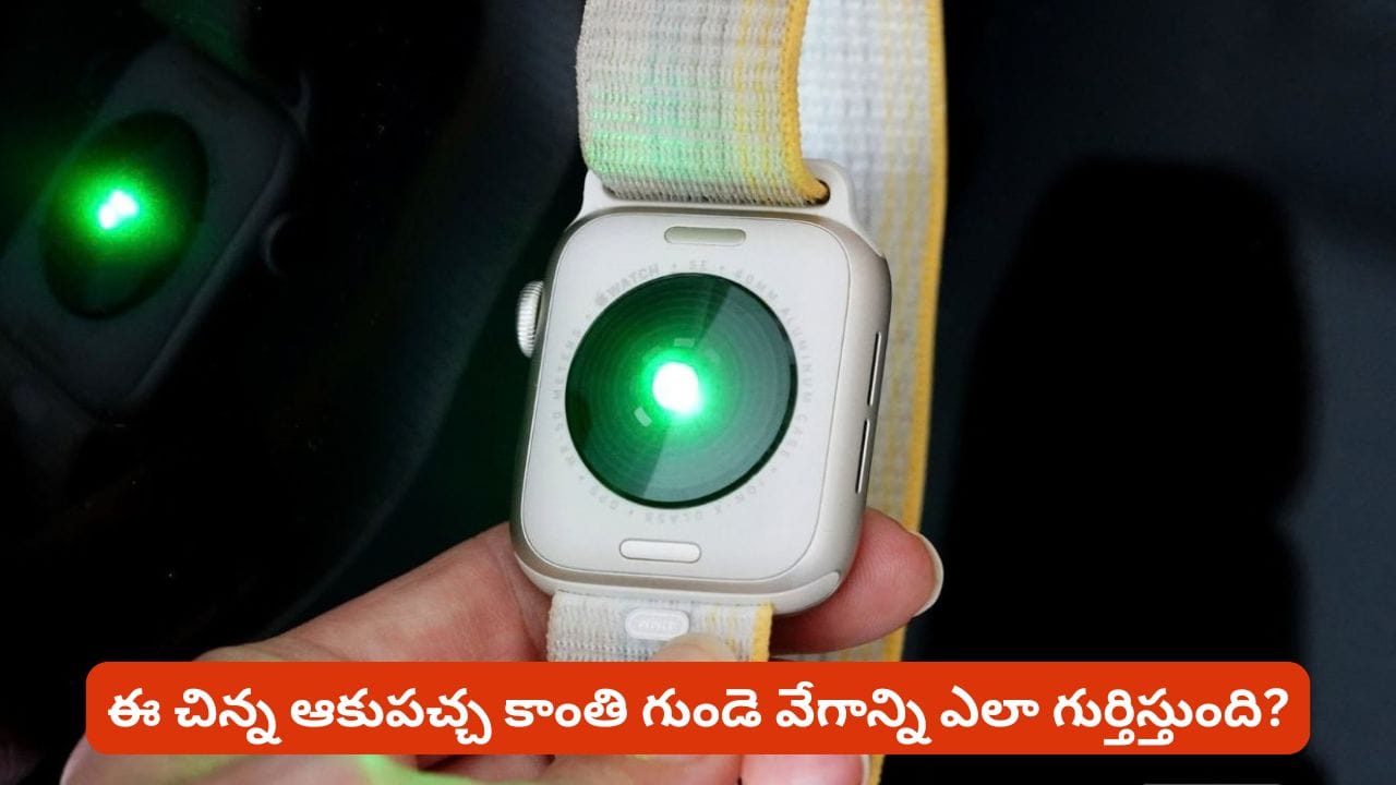 స్మార్ట్‌వాచ్ వెనుక గ్రీన్ లైట్ ఎందుకు వెలుగుతుంది? అసలు రహస్యం ఇదే