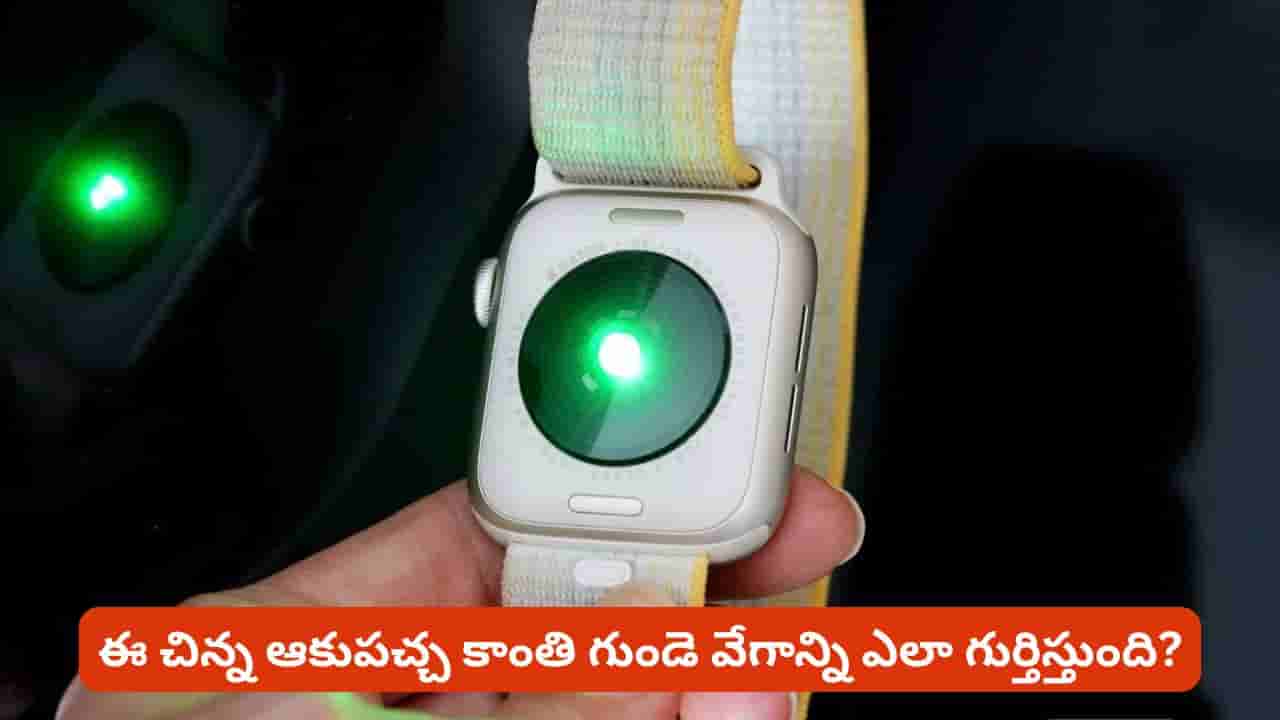స్మార్ట్వాచ్ వెనుక గ్రీన్ లైట్ ఎందుకు వెలుగుతుంది? అసలు రహస్యం ఇదే