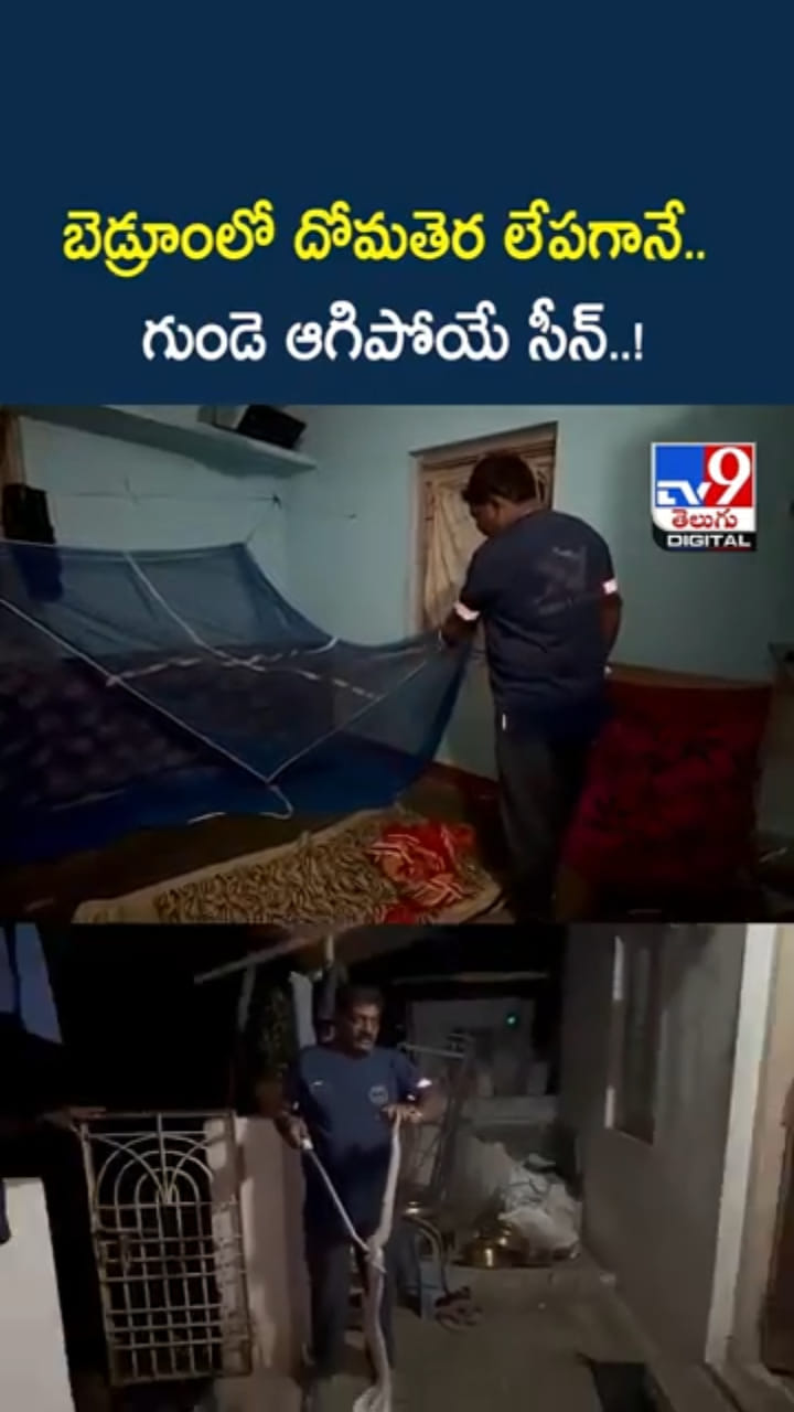 వామ్మో.. బెడ్రూంలో దోమతెర లేపగానే షాకింగ్ సీన్..
