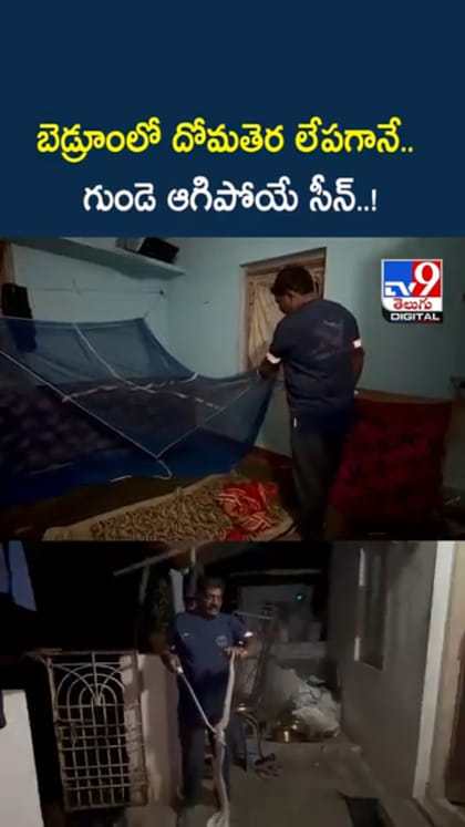 వామ్మో.. బెడ్రూంలో దోమతెర లేపగానే షాకింగ్ సీన్..