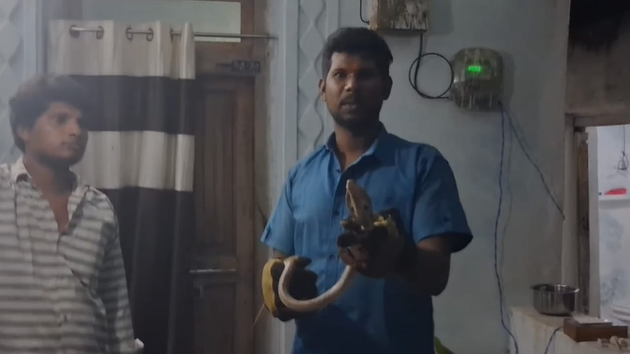  
వర్షాకాలం మొదలైంది పొలాల్లో ఉన్న పాములు నెమ్మదిగా ఇళ్ళ మధ్యకు చేరతాయి అప్రమత్తంగా ఉండకపతే ప్రాణాలకే ప్రమాదం. మహానంది దేవస్థానం కాలనీలో ఓ పాము తిష్ఠ వేసింది. చివరికి ఎలా పెట్టుకున్నారో ఇక్కడ వివరంగా చదివి తెలుసుకుందాం.. 
