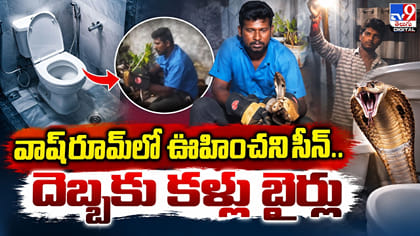 వాష్‌రూమ్‌లో ఊహించని సీన్‌.. దెబ్బకు కళ్లు బైర్లు