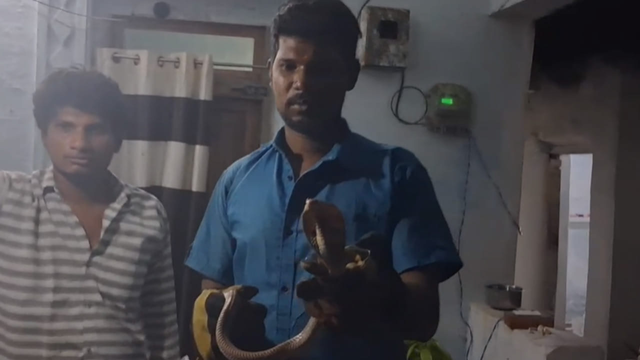  
ఇళ్లలోకి పాములు ప్రవేశించినప్పుడు ప్రజలు అప్రమత్తంగా ఉండాలని, వాటిని స్వయంగా పట్టుకునే ప్రయత్నం చేయకుండా నిపుణుల సహాయం తీసుకోవాలని స్నేక్ క్యాచర్ మోహన్ సూచిస్తున్నారు. 