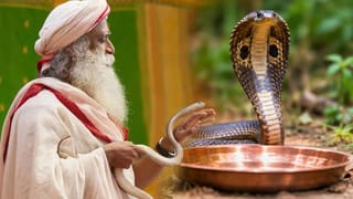 Snakes: ఓరీ దేవుడో.. రాగి పాత్రలు కనిపిస్తే పాములు పరిగెత్తుకు వస్తాయట..! సద్గురు చెప్పిన ఆ సీక్రెట్‌ తెలిస్తే..