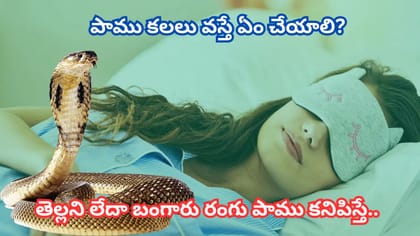 కలలో పాము కనిపించిందా? శుభమా.. అశుభమా? ఈ 6 సంకేతాల అర్థం తెలుసా?