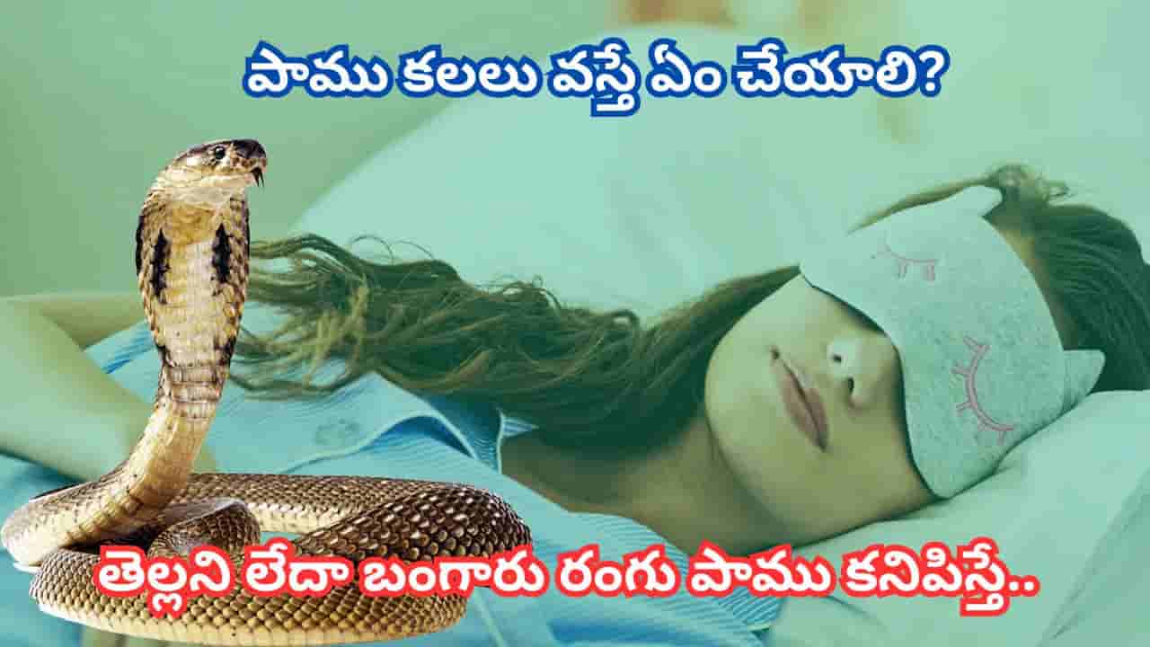 కలలో పాము కనిపిస్తే ఏం జరుగుతుంది? ఈ 3 కలలు అదృష్టానికి.. ఇవి మాత్రం ప్రమాద హెచ్చరిక!