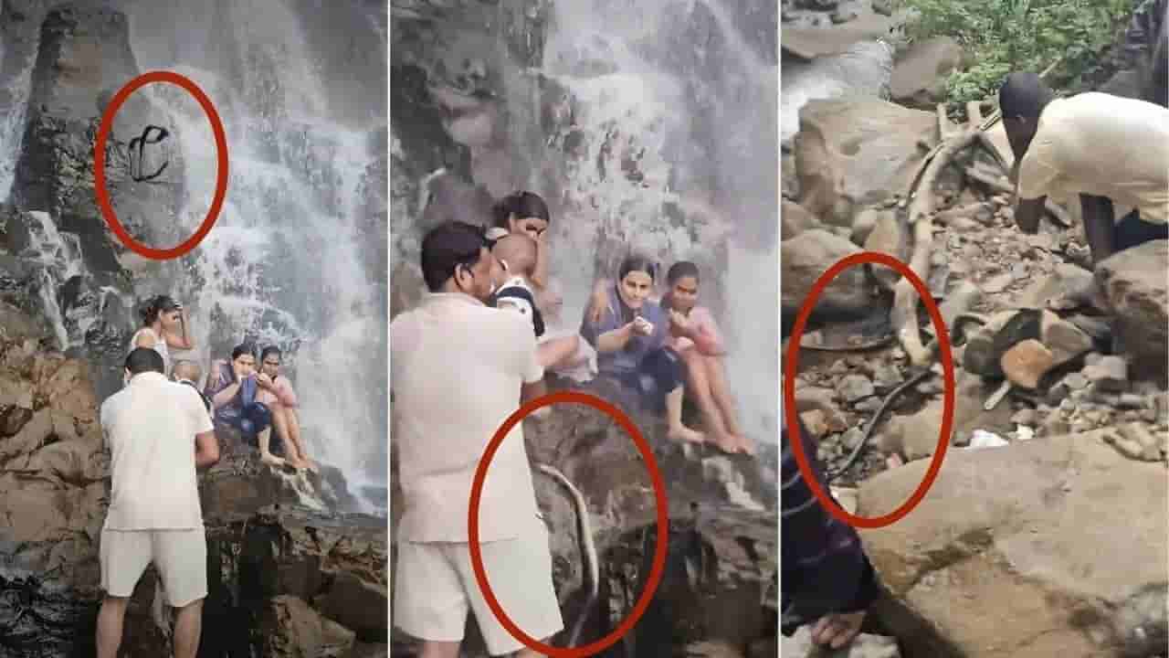 జలపాతం వద్ద షాకింగ్ సీన్.. రాళ్లపై నుంచి ఒక్కసారిగా ఏదో జారిపడింది! ఏంటాని చూడగా.. వీడియో