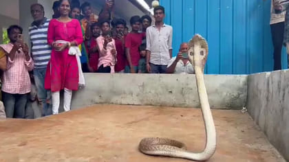 తిరుమలలో సర్పాల సంరక్షణపై టీటీడీ సిబ్బందికి ప్రత్యేక శిక్ష
