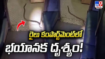 రైలు కంపార్ట్‌మెంట్‌లో భయానక దృశ్యం!