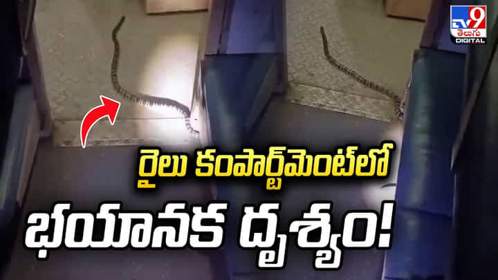 రైలు కంపార్ట్మెంట్లో భయానక దృశ్యం! రైలు కంపార్ట్మెంట్లో భయానక దృశ్యం!