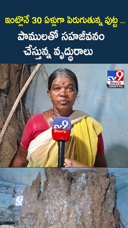 ఎంత కోపం వస్తే ఆఫీస్‌లో కుక్కల్ని వదిలుంటారు.!
