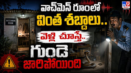 వాచ్‌మెన్‌ రూంలో వింత శబ్దాలు.. వెళ్లి చూస్తే.. గుండె జారిపోయింది