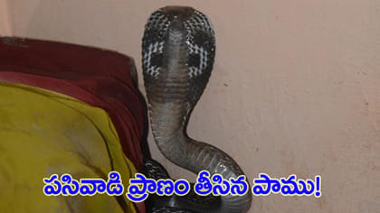 మంచంలోనే ప్రాణాలు విడిచిన ఆరు నెలల పసికందు!