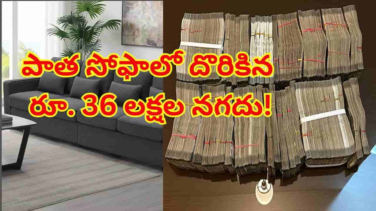 రూ. 4,000ల పాత సోఫాలో రూ. 36 లక్షల నగదు.. చూసి నోరెళ్లబెట్టిన కుటుంబం, ఆ తర్వాత ఏం చేశాడంటే?