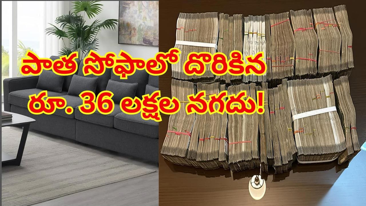 రూ. 4,000ల పాత సోఫాలో రూ. 36 లక్షల నగదు.. చూసి నోరెళ్లబెట్టిన కుటుంబం, ఆ తర్వాత ఏం చేశాడంటే?