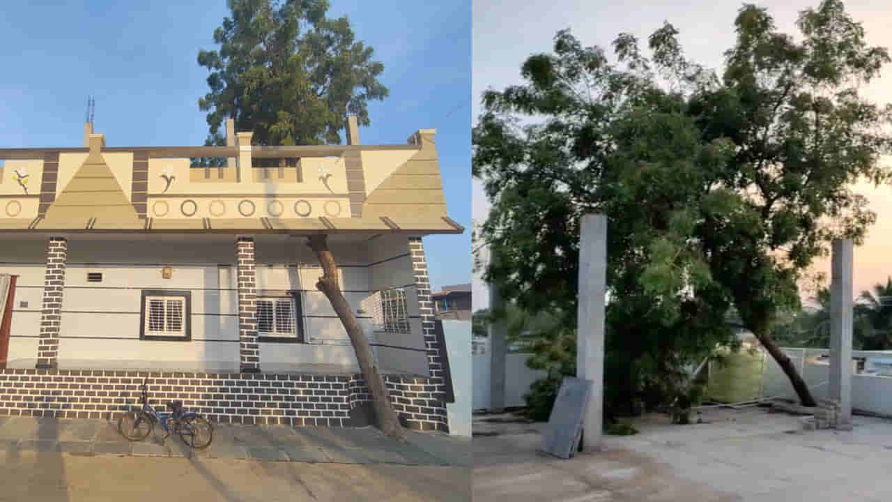 Andhra Pradesh: నాన్న నాటిన జ్ఞాపకం.. చెట్టు కోసం ఏకంగా ఇంటి ప్లాన్నే మార్చేసిన కొడుకులు