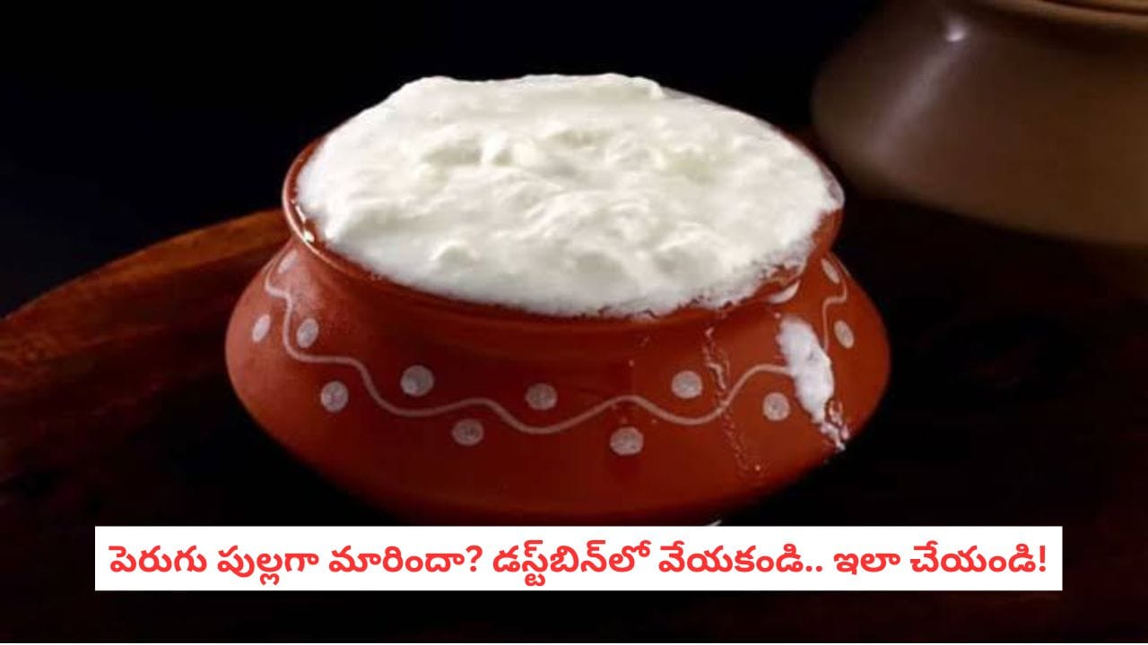 Sour Curd Uses: పుల్లటి పెరుగును అస్సలు పారేయకండి.. ఇంట్లో ఈ పనులకు అద్భుతంగా ఉపయోగపడుతుంది!