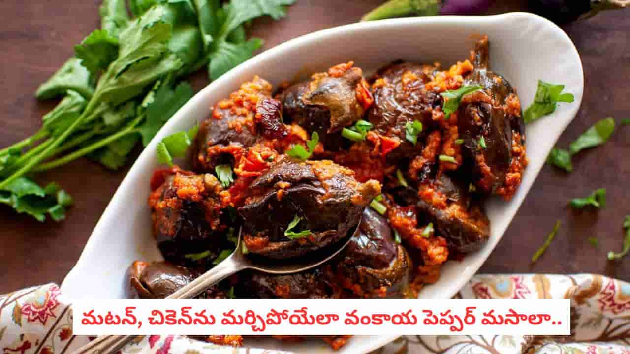 Brinjal Pepper Masala Recipe : వంకాయతో మటన్ రుచి.. ఈ మసాలా చేస్తే ప్లేట్ ఖాళీ అవ్వాల్సిందే!