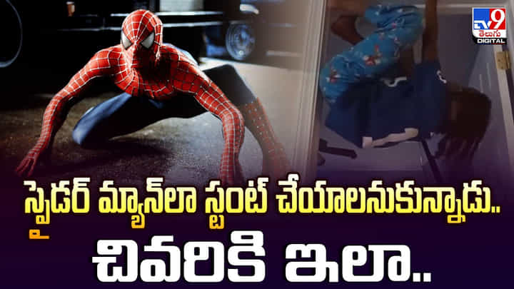 స్పైడర్ మ్యాన్లా స్టంట్ చేయాలనుకున్నాడు.. చివరికి ఇలా.. స్పైడర్ మ్యాన్లా స్టంట్ చేయాలనుకున్నాడు.. చివరికి ఇలా..