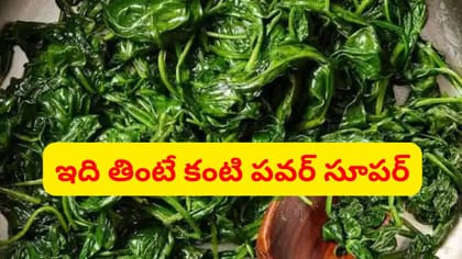 వారానికి 2 సార్లు తినండి.. కంటి పవర్ అమాంతం పెరుగుతుంది..