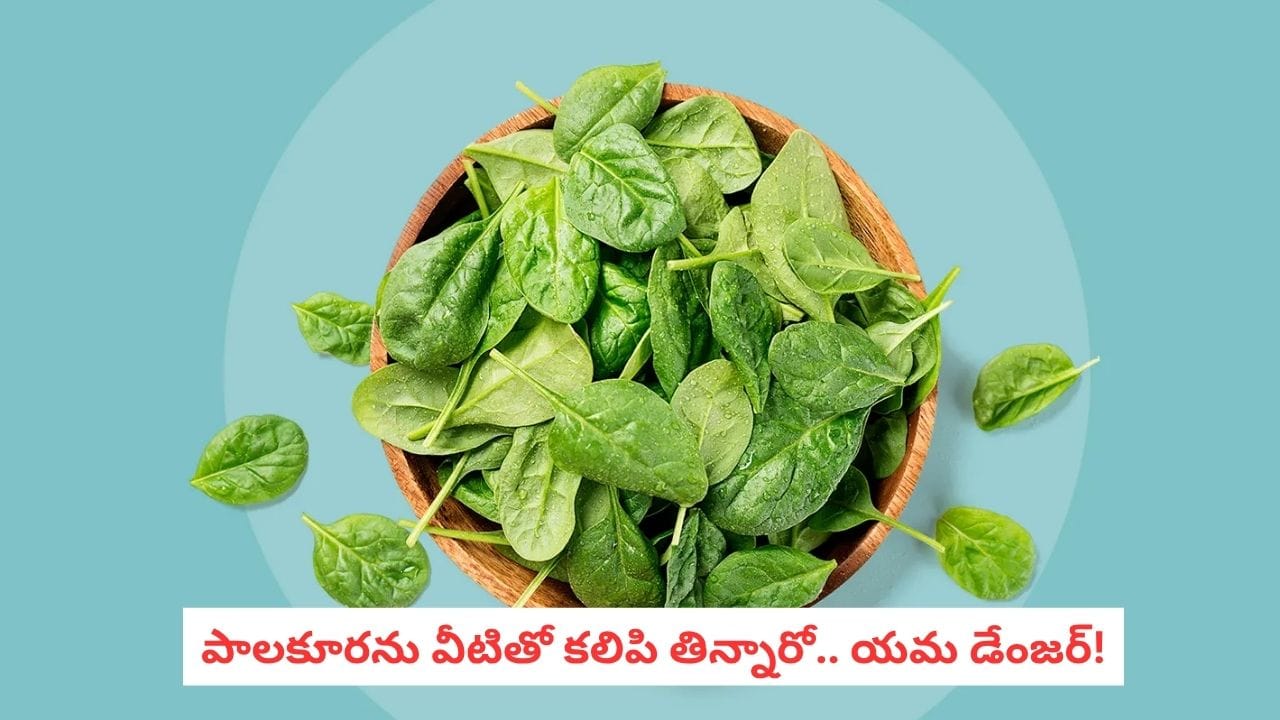 Spinach Side Effects: పాలకూరతో ఈ ఆహారాలను కలిపి తినకపోవడమే మంచిదట.. కారణం ఇదే!