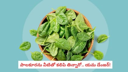 పాలకూరను వీటితో కలిపి తిన్నారో.. యమ డేంజర్!