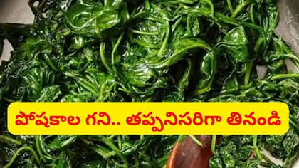 కంటికి, గుండెకి శ్రీరామరక్ష.. డైలీ ఒక కప్పు తింటే ఇన్ని లాభాలా..?
