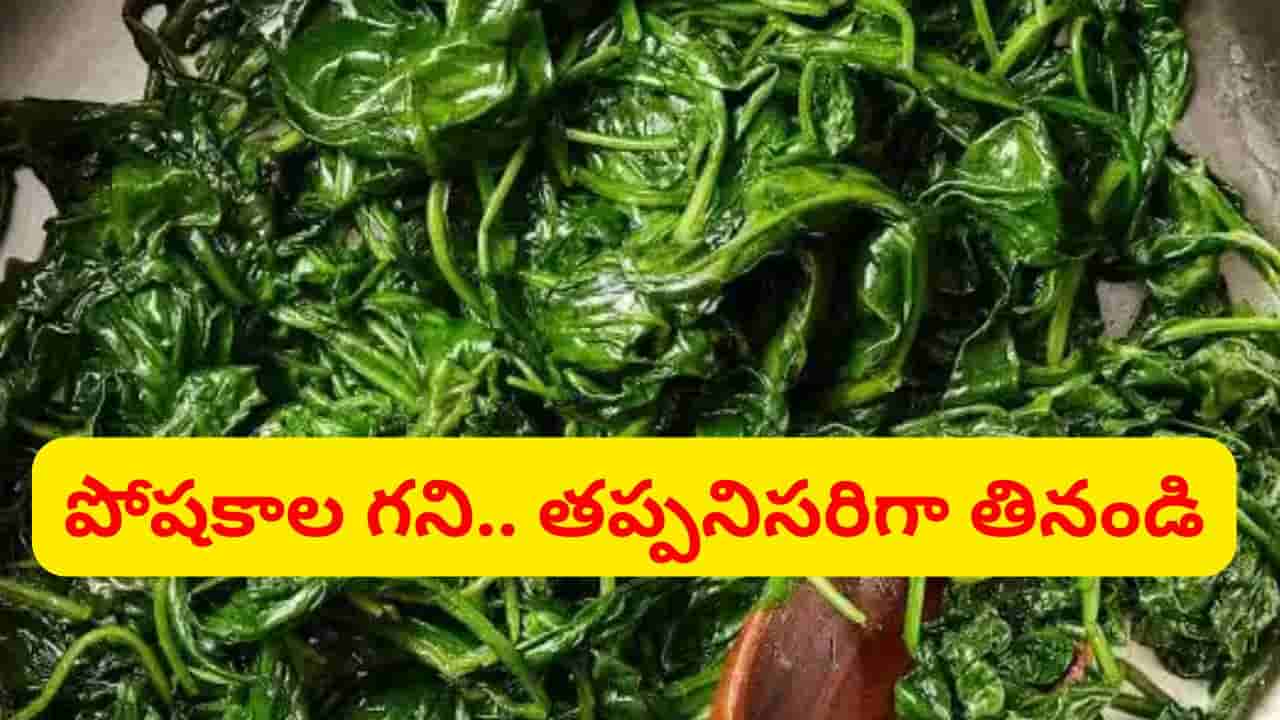 కంటికి, గుండెకి శ్రీరామరక్ష.. డైలీ ఒక కప్పు తింటే ఇన్ని లాభాలా..?