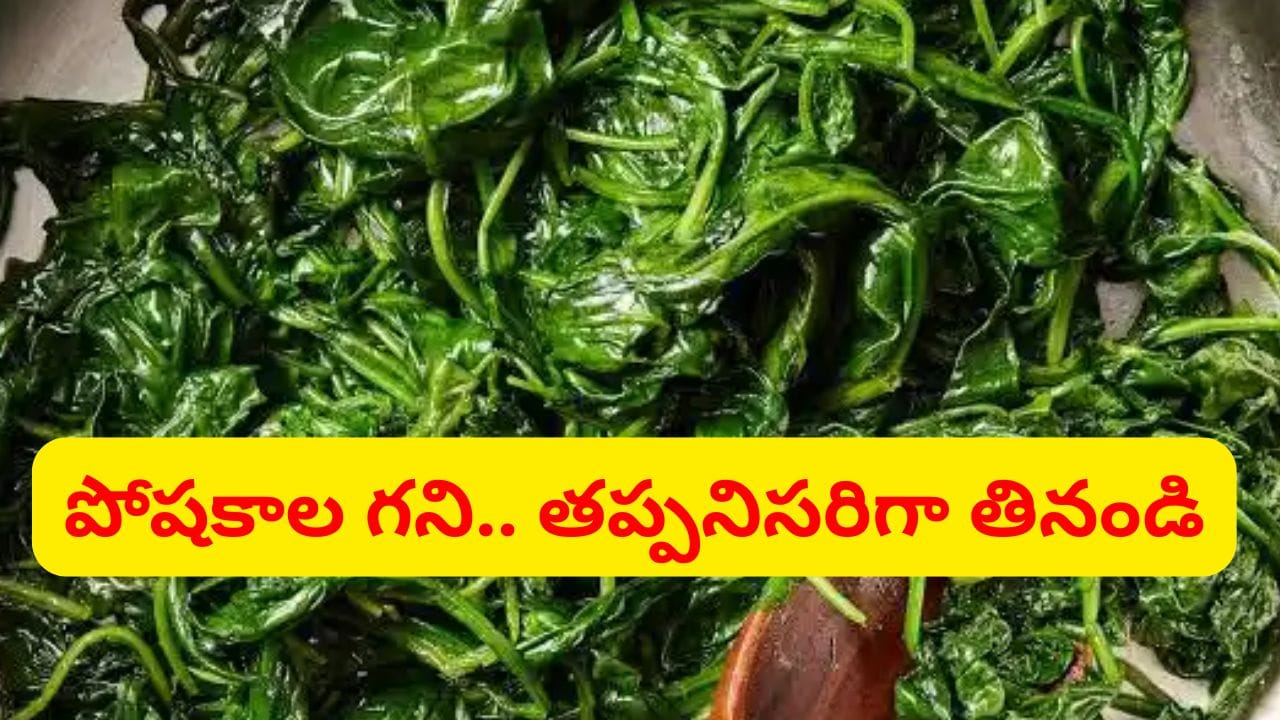 కంటికి, గుండెకి శ్రీరామరక్ష.. డైలీ ఒక కప్పు తింటే ఇన్ని లాభాలా..?
