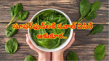 సూపర్‌ఫుడ్‌లకే సవాల్ విసిరే అద్భుతమైన ఆకుకూర‌..ఆరోగ్యానికి నిధి!