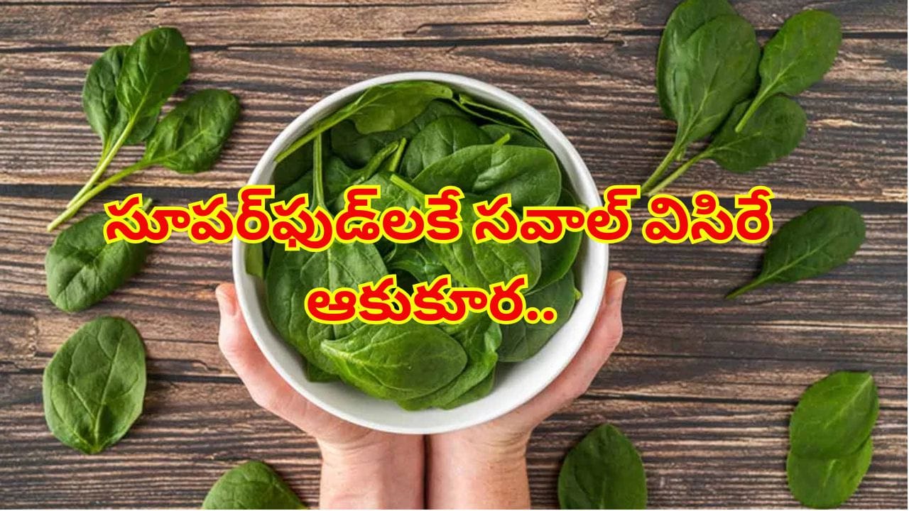 Spinach : సూపర్ఫుడ్లకే సవాల్ విసిరే అద్భుతమైన ఆకుకూర ఇది.. ఆరోగ్యానికి నిధి