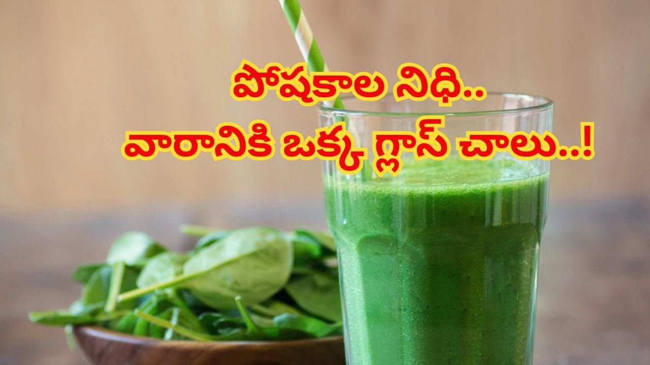 పాలకూర జ్యూస్ ట్రై చేసి చూడండి..ఈ ఆరోగ్య ప్రయోజనాలు తెలిస్తే అస్సలు వదలరు!