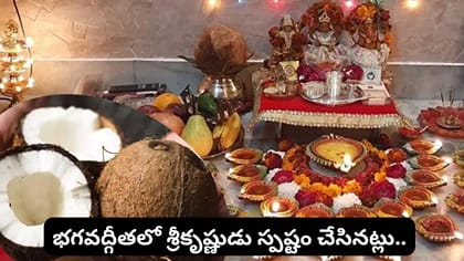నైవేద్యం ప్రాముఖ్యత: పండ్లు, కొబ్బరికాయ సమర్పణ వెనుక దైవ రహస్యం