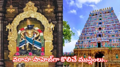 పెళ్లి, సంతానం, సొంతింటి కోరికలు నెరవేరుతాయట.. ఈ వరాహస్వామి ఆలయం