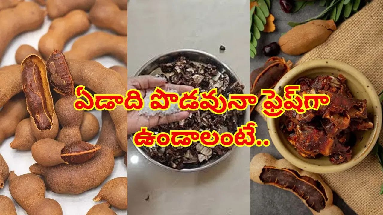 చింతపండు త్వరగా నల్లగా మారుతోందా? వెంటనే ఈ చిన్న చిట్కాలు పాటించండి!