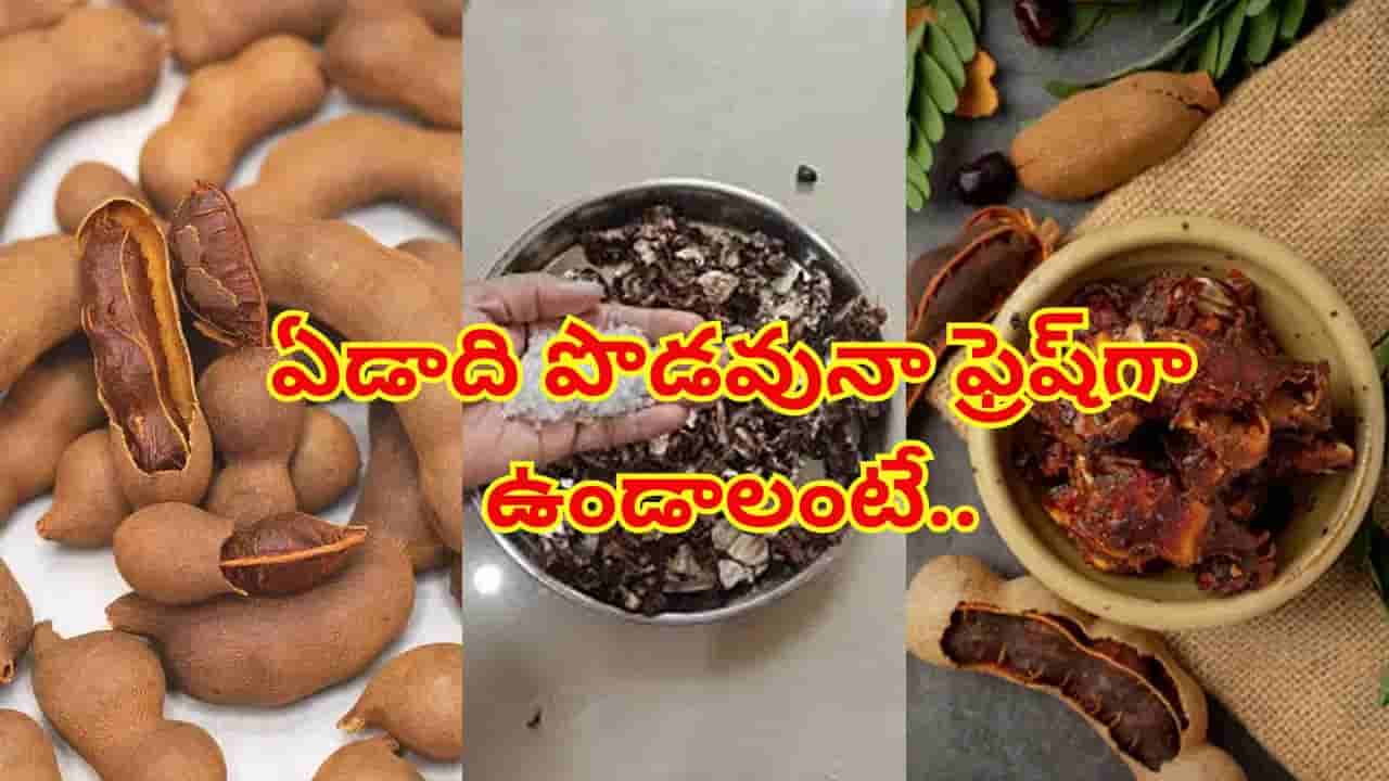 చింతపండు త్వరగా నల్లగా మారుతోందా? వెంటనే ఈ చిన్న చిట్కాలు పాటించండి!