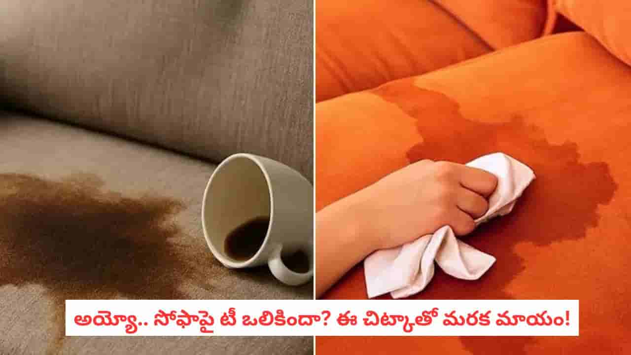 Tea Stain Removal: టీ మరకతో సోఫా పాడైందా? ఈ చిట్కాలు తెలిస్తే సోఫా మళ్లీ కొత్తదిలా!