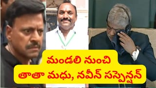 స్పీకర్‌పై అనుచిత వ్యాఖ్యలు.. మండలి నుంచి తాతా మధు, నవీన్ రెడ్డి సస్పెన్షన్..