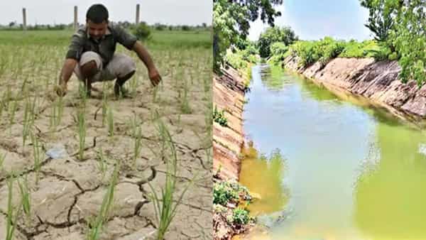 వర్షాలు కరువై.. పంటలు ఎండిపోతున్న వేళ.. తెలంగాణలో నీటిపై రాజకీయ సమరం!