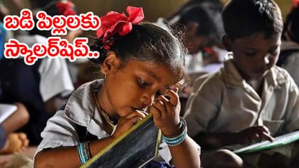 8వ తరగతి విద్యార్ధులకు రూ.48 వేల స్కాలర్‌షిప్‌.. దరఖాస్తు లింక్