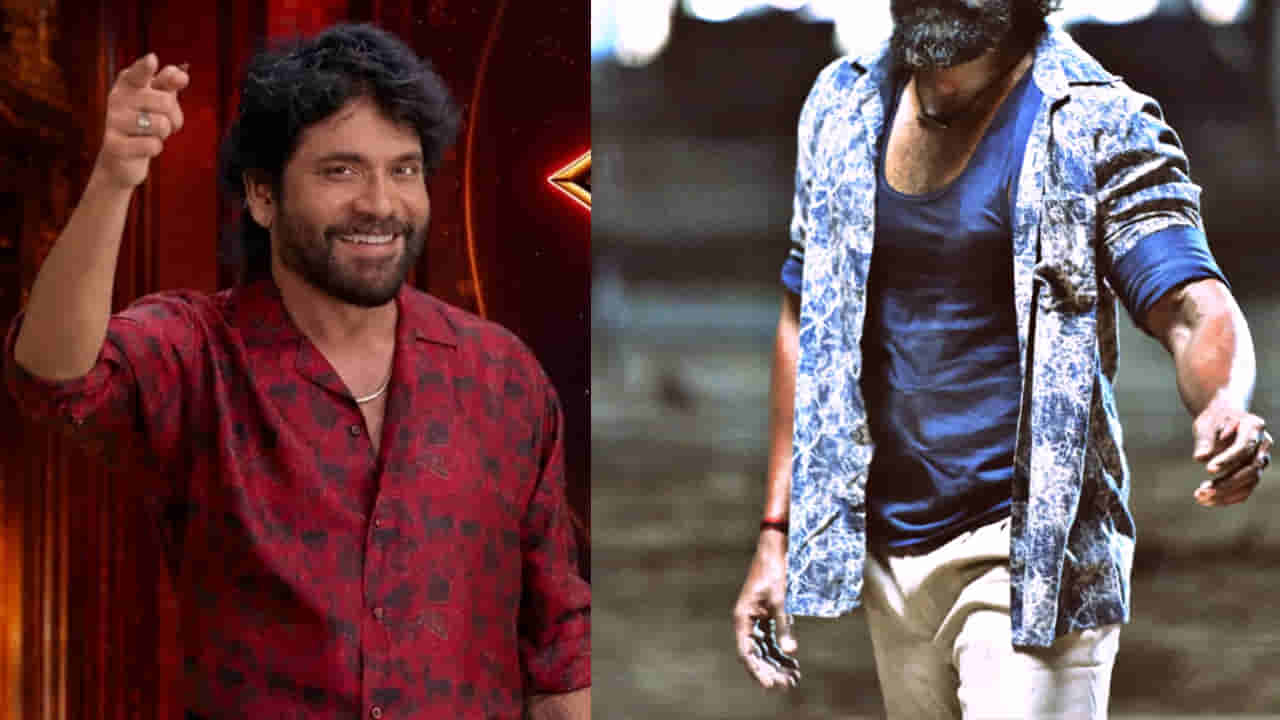 Bigg Boss 10 Telugu : విలన్ అన్నారు.. బిగ్ బాస్లో నేనేంటో చూపిస్తా.. టాలీవుడ్ నటుడు..