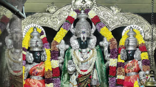 గోదావరి తీరాన శ్రీపెరుంబూదూర్ ప్రతిరూపం: 240 ఏళ్ల నాటి ‘అభినవ భూతపురి’ నరసాపురం విశేషాలు