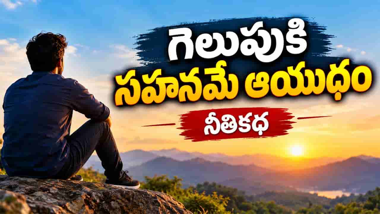 విజయానికి ఓపికే ఆయుధం.. జీవితంలో ప్రతి ఒక్కరు తెలుసుకోవల్సిన ఏనుగు కథ!