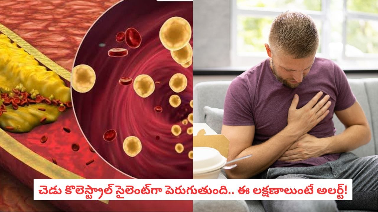 High Cholesterol: కొలెస్ట్రాల్ పెరిగిందా? శరీరం ఇచ్చే ఈ సంకేతాలను అస్సలు లైట్ తీసుకోకండి!
